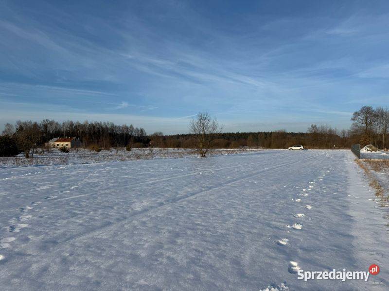 działki rekreacyjne jeziora Przytomne asfalt mazowieckie Zuzinów sprzedam