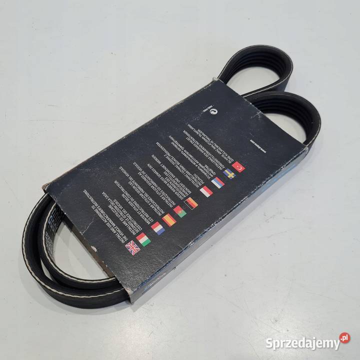 AUDI FIAT OPEL ALFA ROMEO JAGUAR PASEK KLINOWY Części montażowe Osięciny