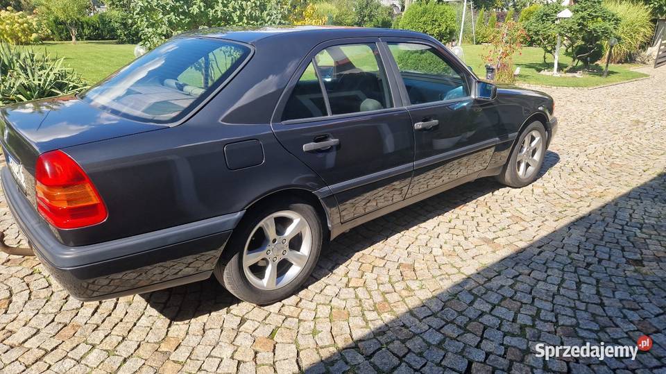Klasyk czarny Klasa C Paczków