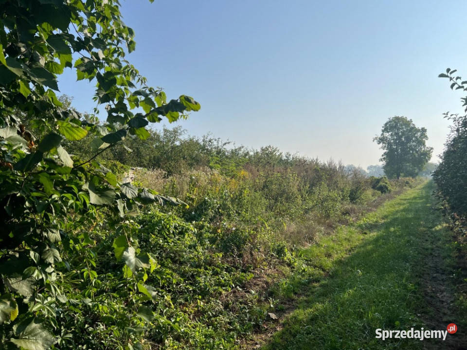DZIAŁKA BUDOWLANA z aktualną WZ 39zł/m2 Sprzedaż Brzumin