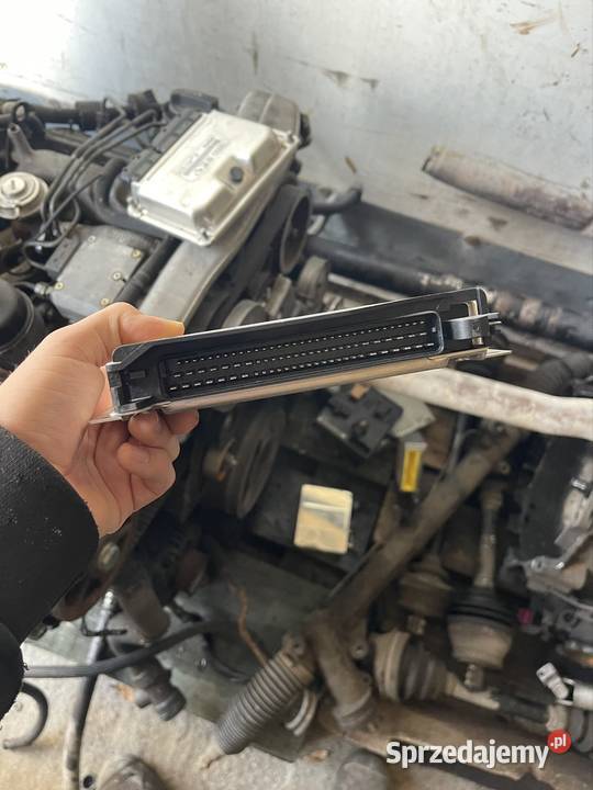 Audi a4 b6 sterownik skrzyni biegów osobowe Czersk