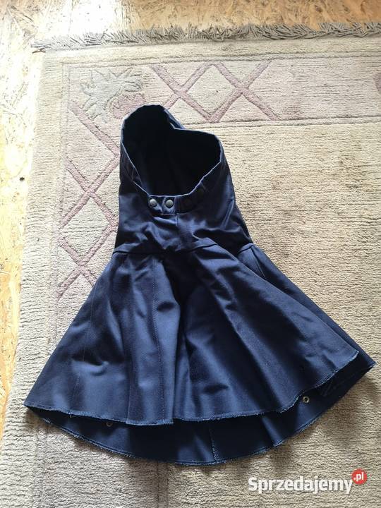 Kaptur spawalniczy Pozostałe Gdańsk