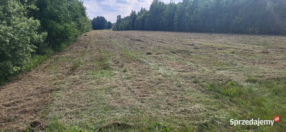 Usługi kosiarką bijakową koszenie trawy ugorów Radom