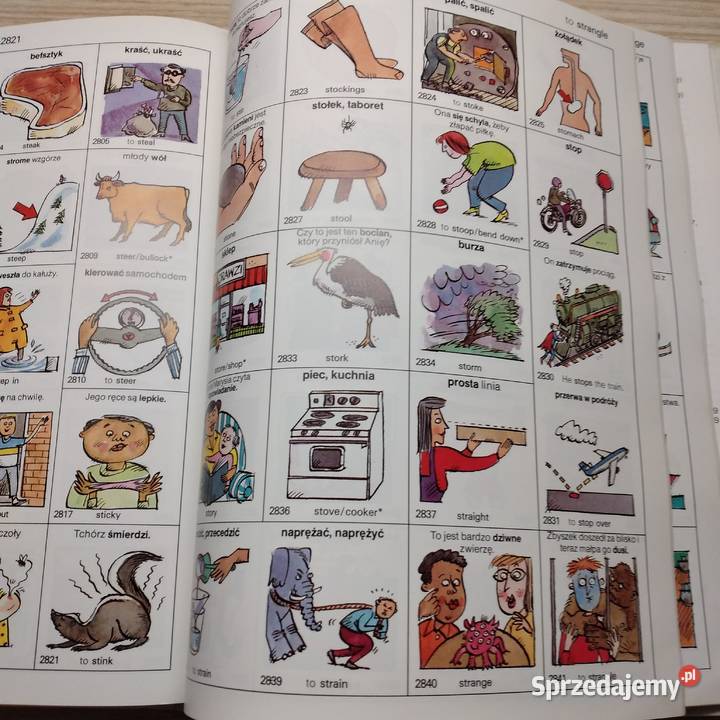 słownik polskoangielski Bukowno