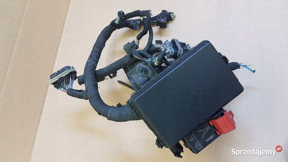 PUSZKA BEZPIECZNIKÓW FORD CUSTOM TRANSIT MK8 osobowe Międzychód