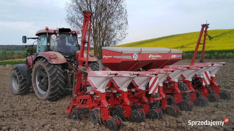 SSiewnik do kukurydzy Kverneland Optima Hd 8 Kverneland Mętno