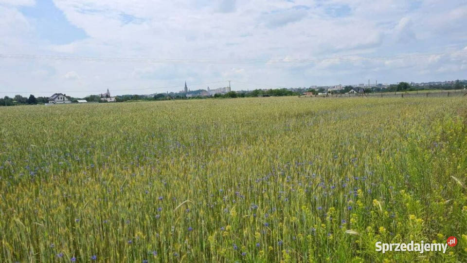 Działka budowlana z pięknym widokiem zachodniopomorskie