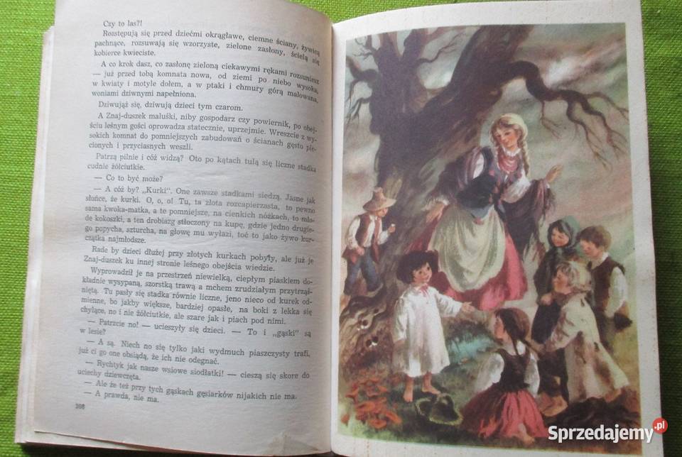 Królestwo Bajki ESzelburg Zarembina 1969 baśnie Łódź