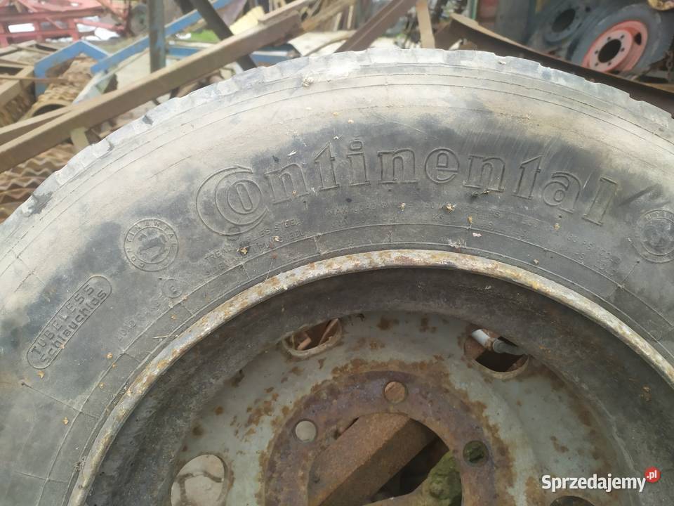 Opona 175 lubelskie Pniówek