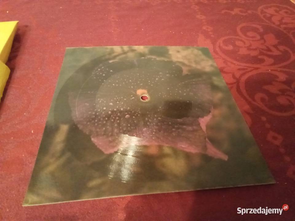 Its a heartache Tyler I cant stand a rain Turner