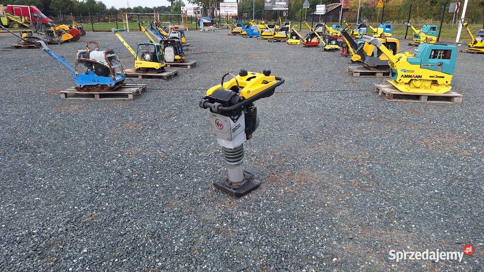Skoczek Stopa WACKER NEUSON BS 502 plus 11in Rok produkcji 2021 Trzebnica sprzedam