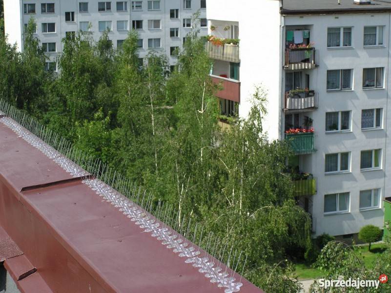 STOPPTAK CLASIC 101 kolce na ptaki ochrona przed Wrocław