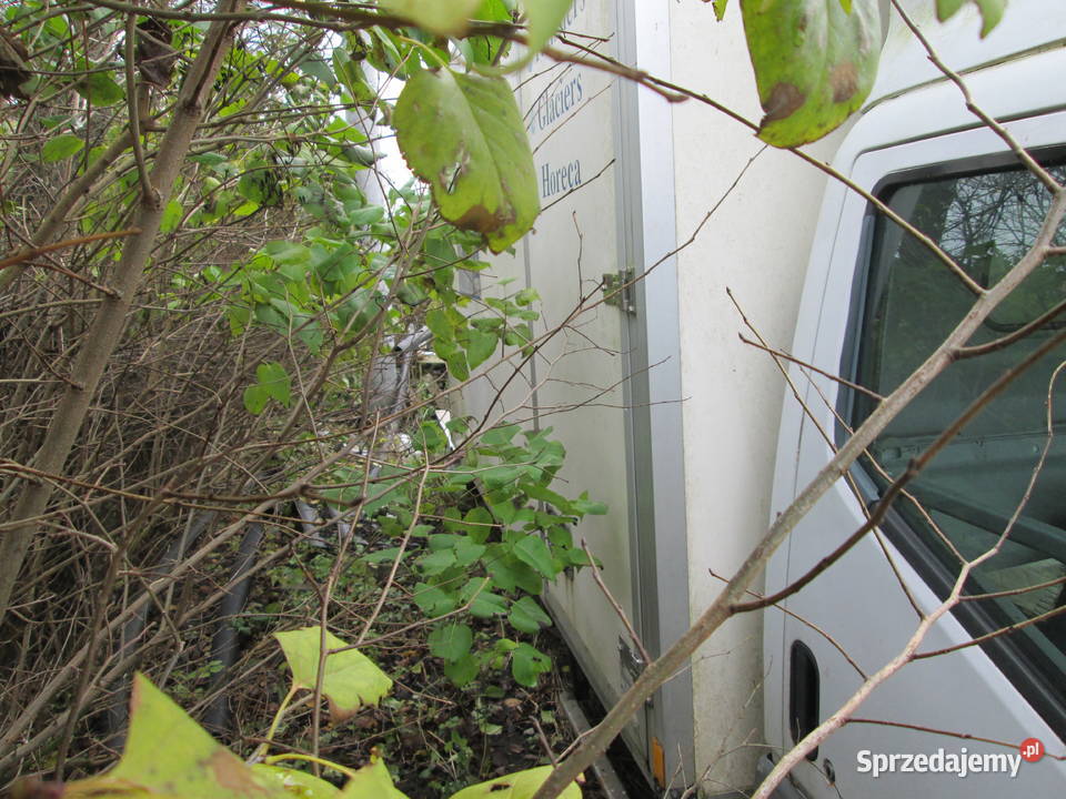 mitsubishi canter 30 4m42 2002r silnik kujawsko-pomorskie