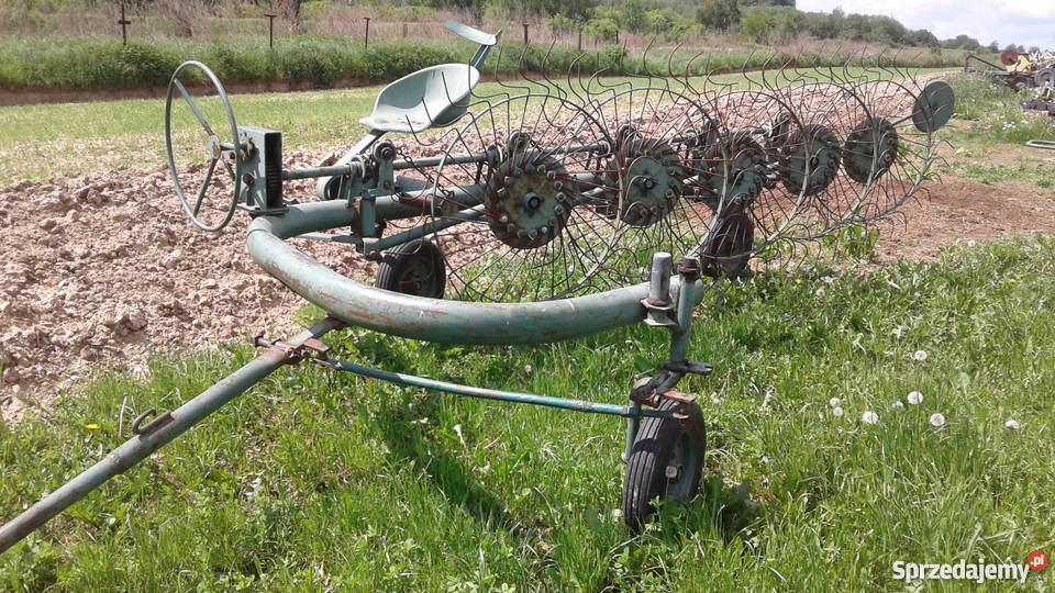 Grabiarka gwiazdówka 5 Bodzentyn