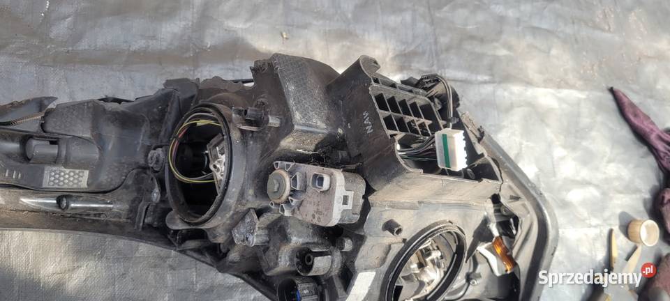 KIA NIRO LIFT PRAWY REFLEKTOR LAMPA PRAWA 1431 sprzedam