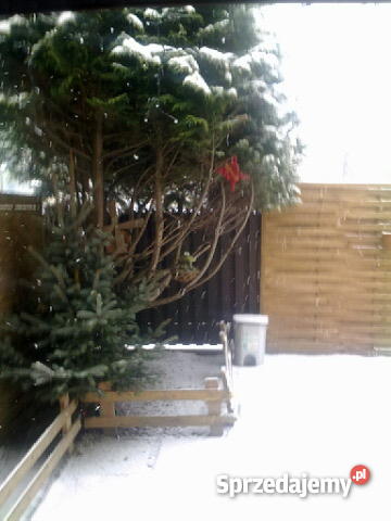 SEGMENT W MIESZKANIA