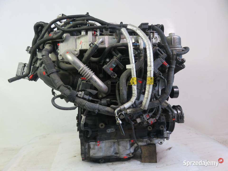 SILNIK CHEVROLET CAPTIVA ANTARA 22 D 184 Z22D1 sprzedam