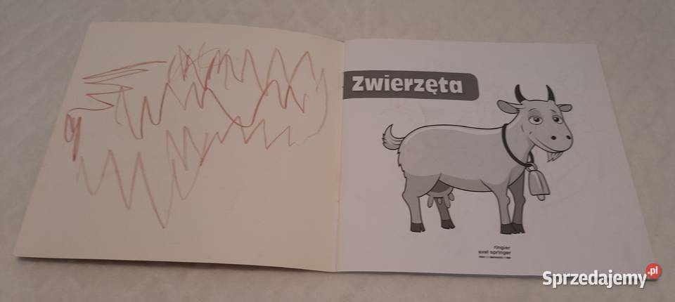 Kropka do kropki Zwierzęta Ringer Axel Springer Czeladź
