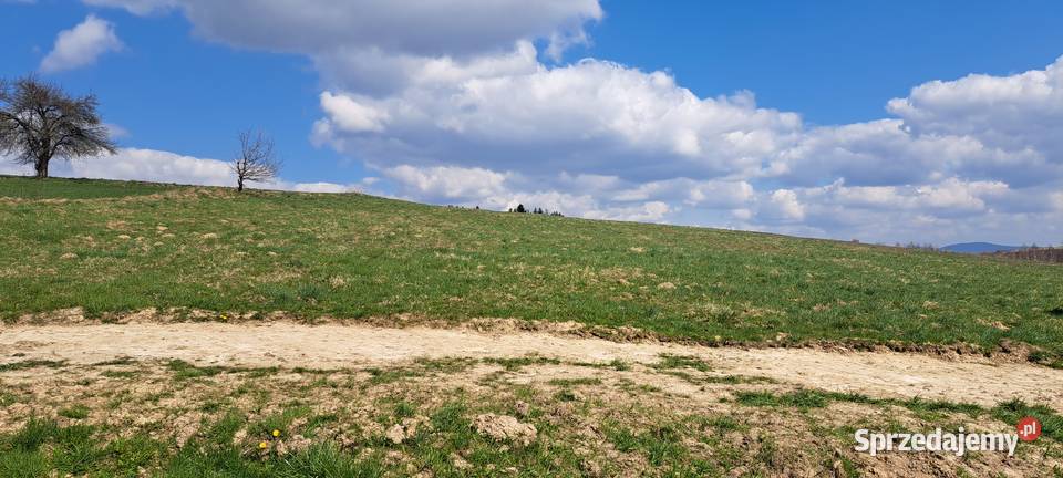 Sprzedam Gospodarstwo Rolne z Działką Rolno małopolskie Olszyny sprzedam