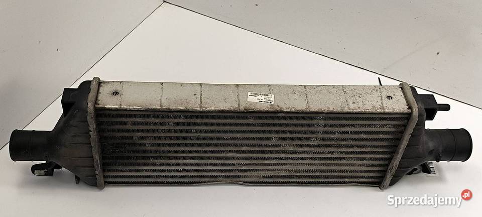 INTERCOOLER SUZUKI SX4 1362079J80 Lipno
