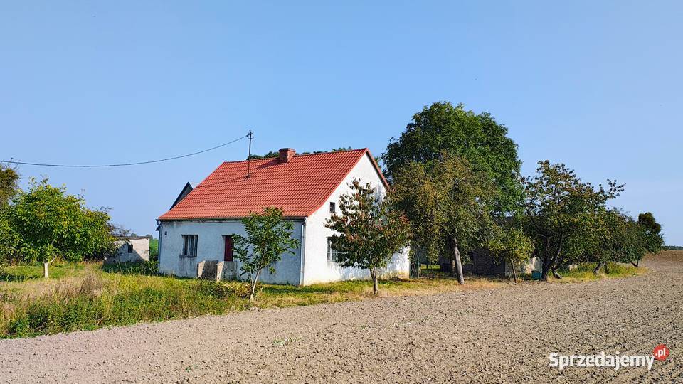 Sprzedam gospodarstwo dom budynki gospodarcze kujawsko-pomorskie Osieczek