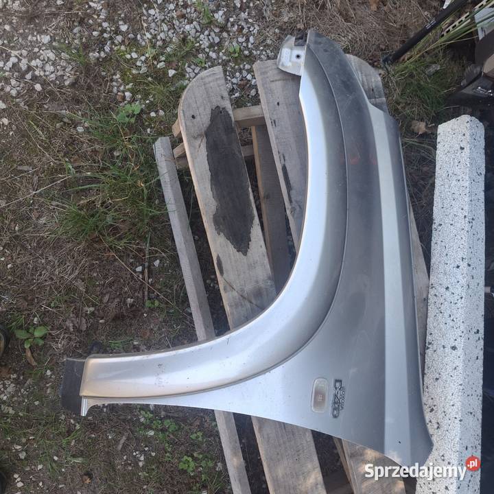 Błotnik lewy przód 1d4 toyota rav 4 II 0005 Błotniki Części samochodowe sprzedam