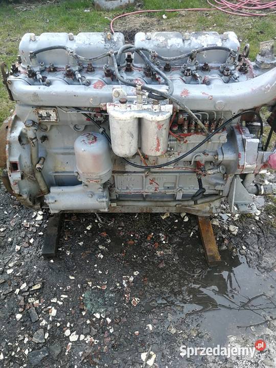 silnik zetor 3c 4cyl 6cyl idealny do Ursusa Stoszowice sprzedam