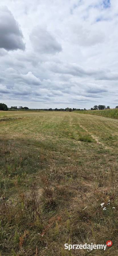 Działka siedliskowa RZ 87 arów 87000m2 Pożarów sprzedam