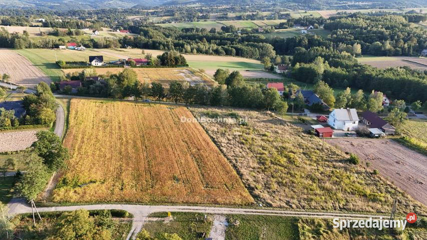Ogłoszenie działka 1401m2 Tworkowa 40m
