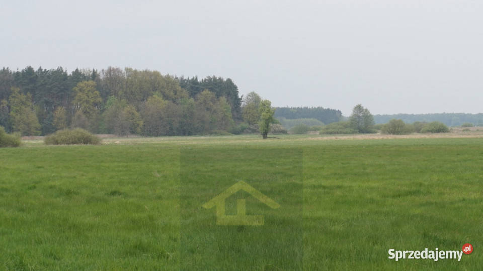 Nieruchomość w Całowaniu 0m Całowanie