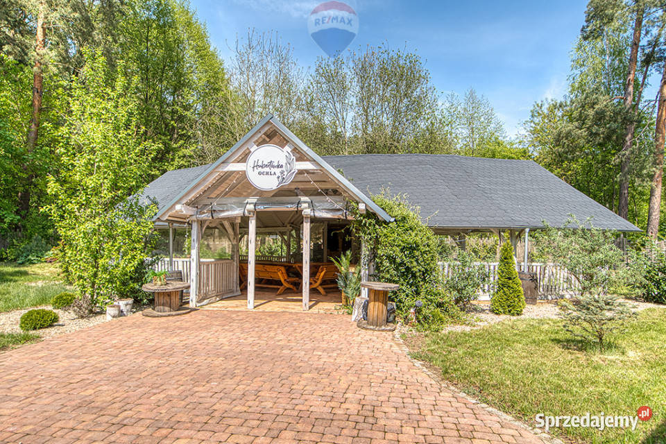 Doskonała okazja koniarzy i nie lubuskie Zielona Góra