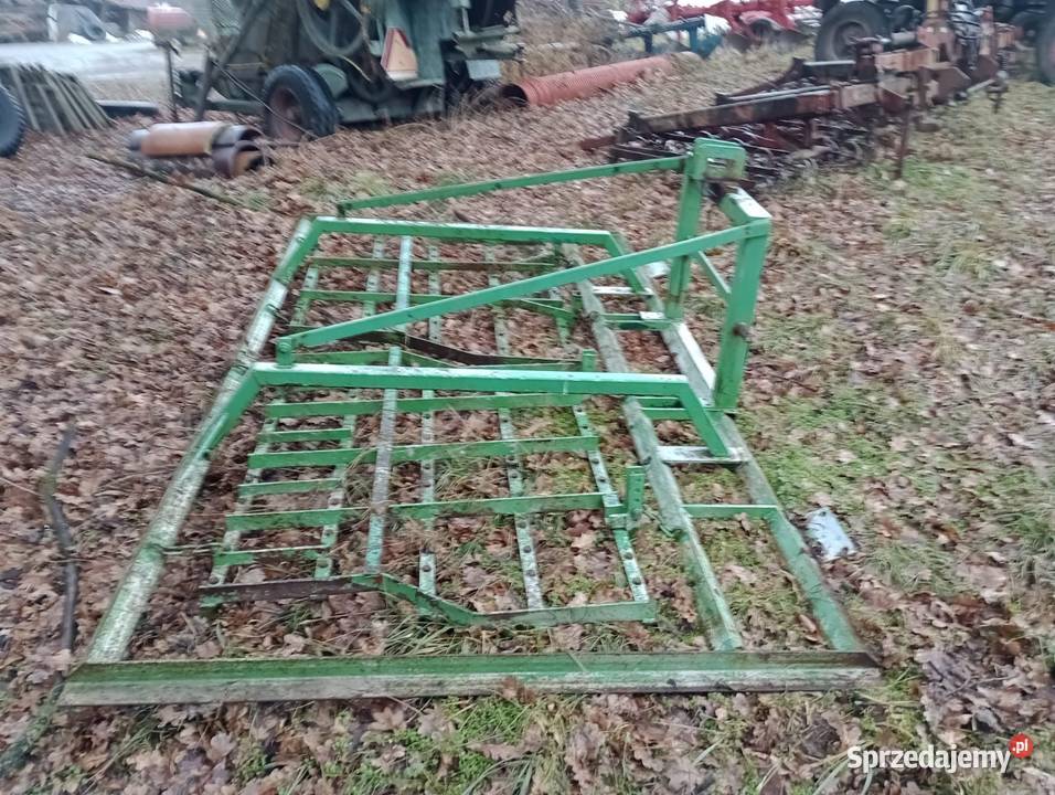 Brona Łąkowa Olesno