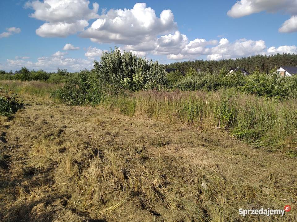 Ogrodzenie z siatki leśnej budowlane tymczasowe