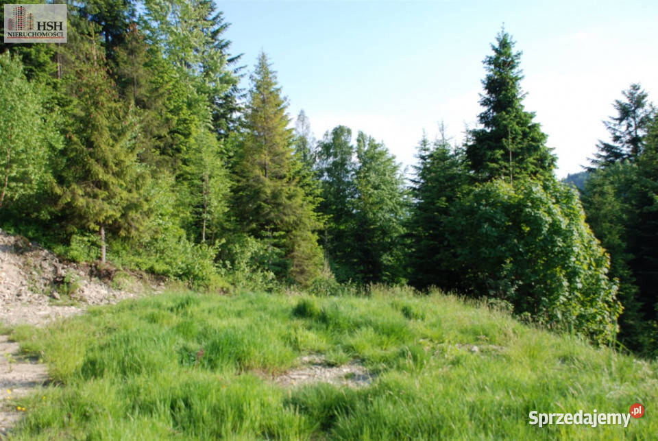 Do sprzedaży działka 14000m2 Żarnówka Sprzedaż