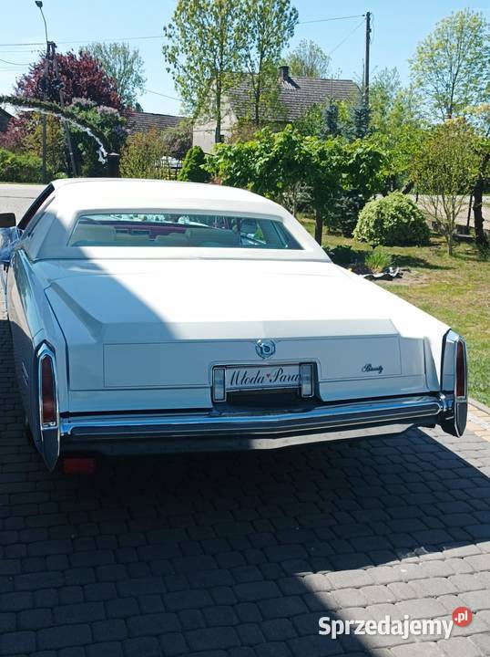 Zabytkowe autosamochód do ślubu Cadillac świętokrzyskie Busko-Zdrój