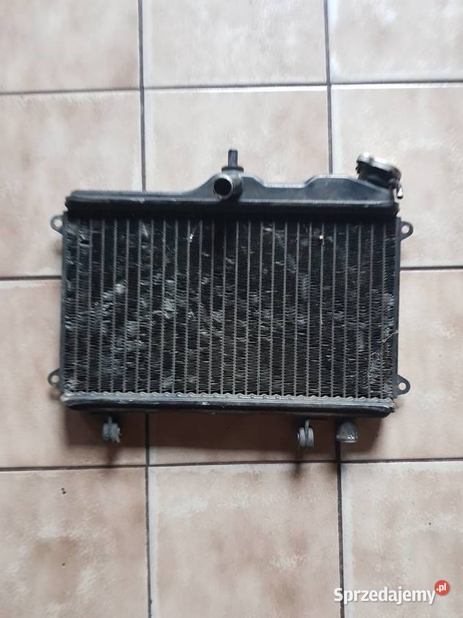 yamaha tdr 250 chlodnica Jędrzejów