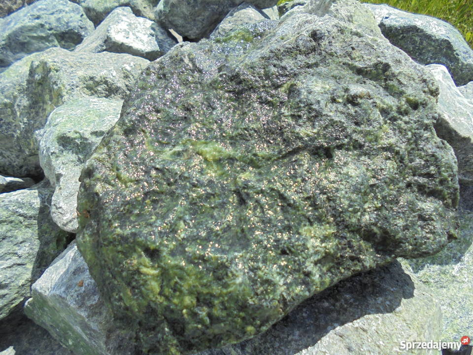 Kamienie piasek do akwarium i terrarium Duży Sosnowiec