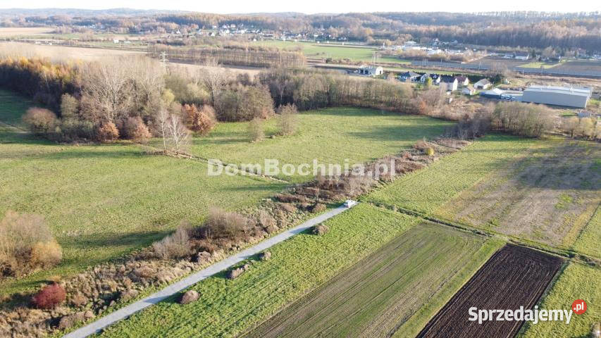 Działka na sprzedaż 981 metrów Krzeczów 122zł/m2 sprzedam