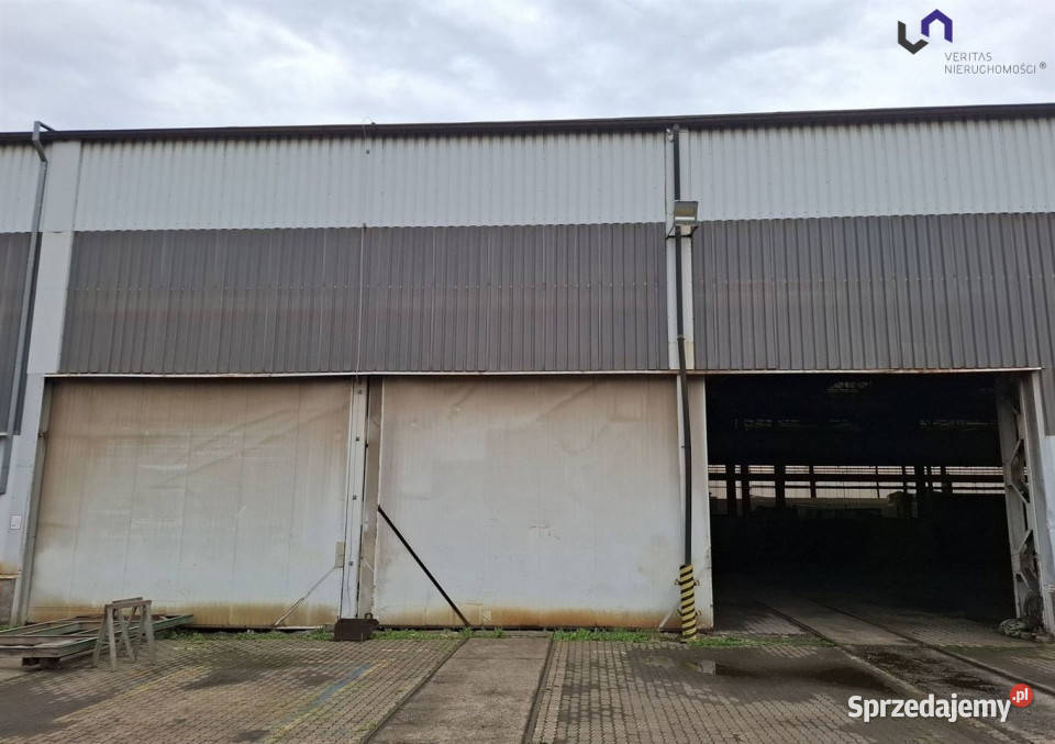 Lokal do wynajęcia 3550m2 Sosnowiec