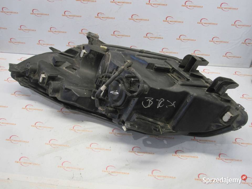 RENAULT SCENIC III 10r lampa prawa przód ANGLIK Kielce