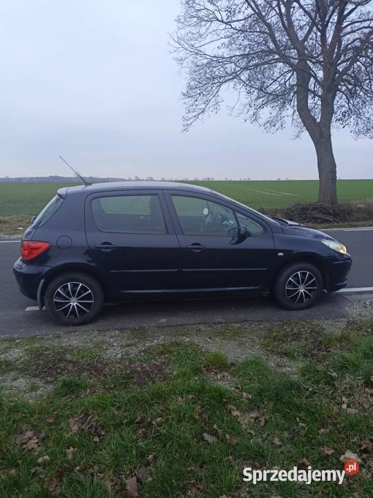 Peugeot 307 Szamotuły