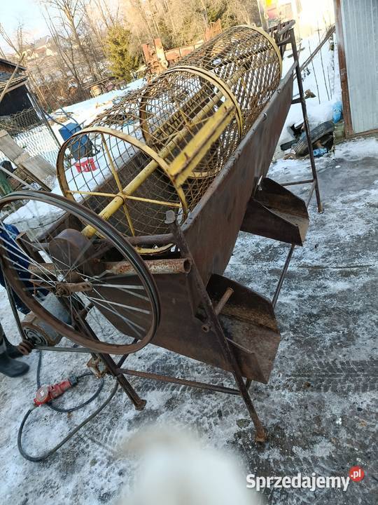 Sortownik do ziemniaków elektryczny Limanowa