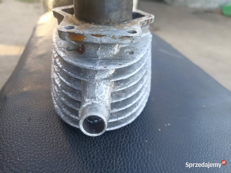 Cylinder zek rys komar Moczkowo