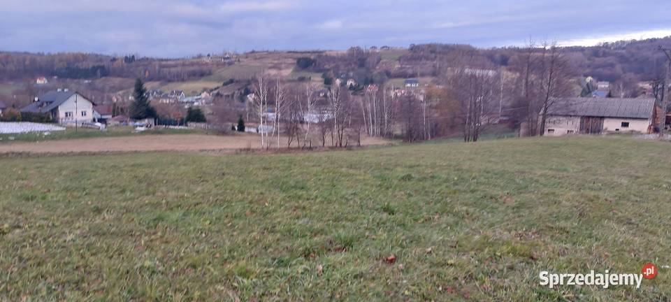 Sprzedam działkę budowlaną 25 arów media WZ Sprzedaż Tyczyn