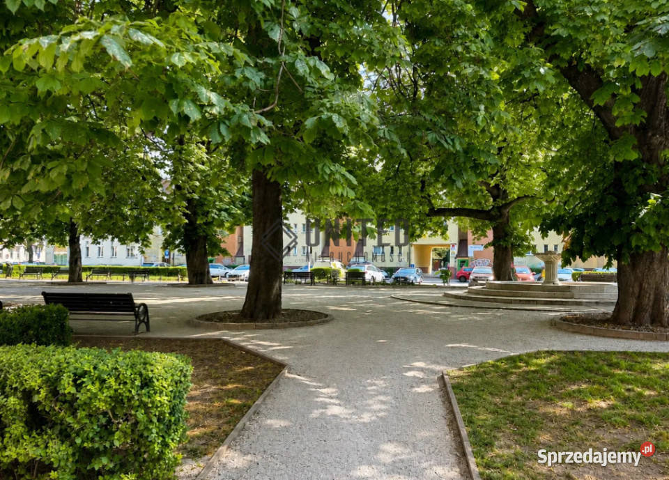 Wesołej piwnica Wrocław