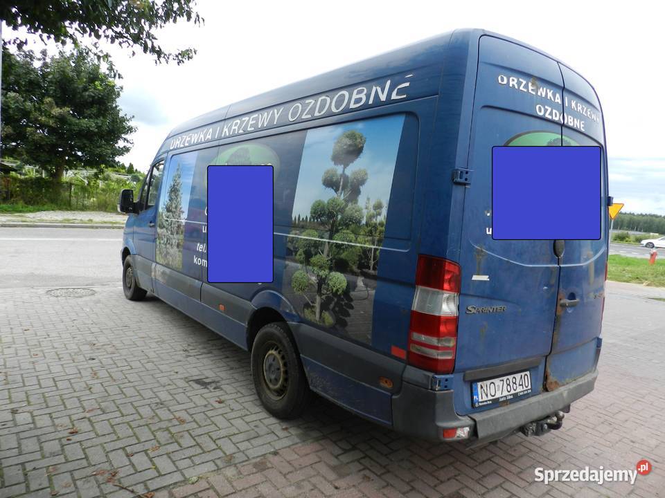 Mercedes Sprinter 315 Wysoki Długi Hak warmińsko-mazurskie Olsztyn sprzedam