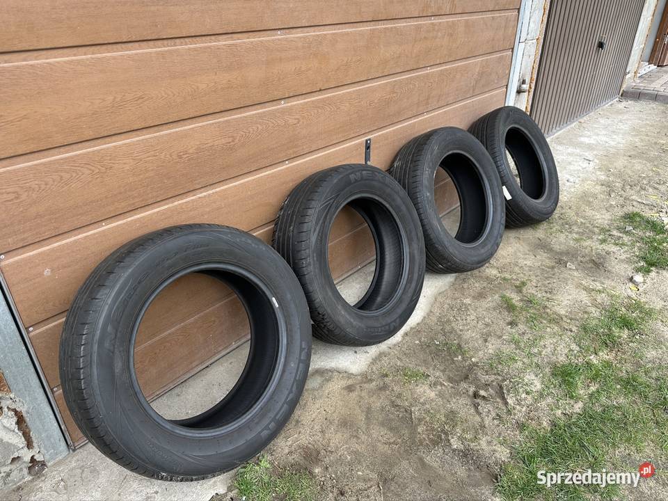Opony letnie Nexen21560 R16 Zadębieniec