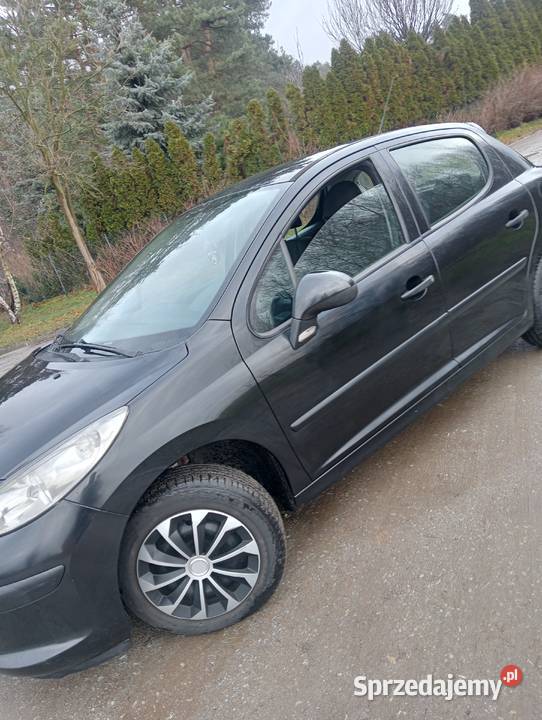 peugeot 207 14 8v Dzigorzew
