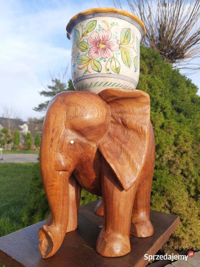 kwietnik podstawa słoń wielkopolskie Mielnica Duża