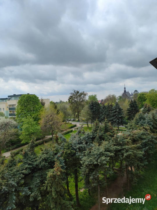 Wynajmę dwupokojową kawalerkę Łęczna
